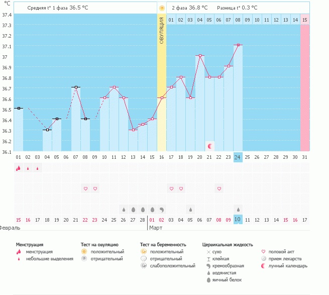 Девчата ваше мнение, что скажете?
