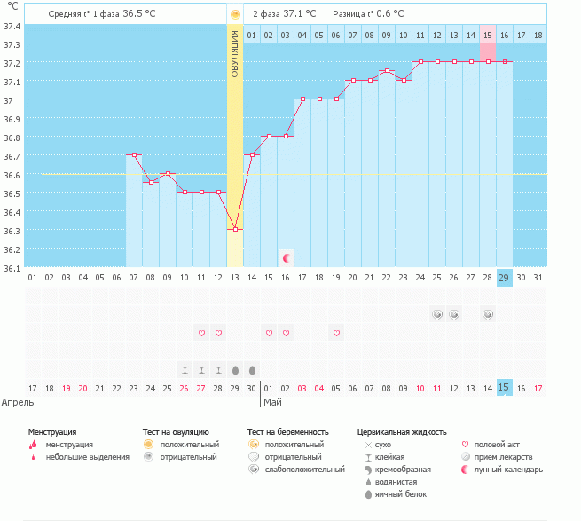 Счастью нет предела...