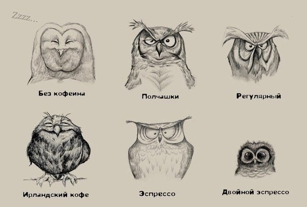 Это про меня)