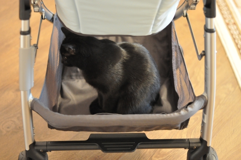 обзор коляски UPPAbaby CRUZ