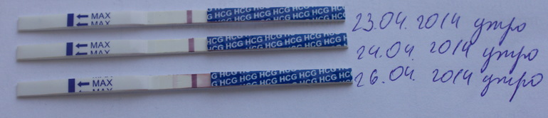 Фрау/Эви. Фрау - тормоза!