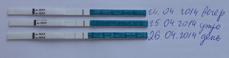 Фрау/Эви. Фрау - тормоза!