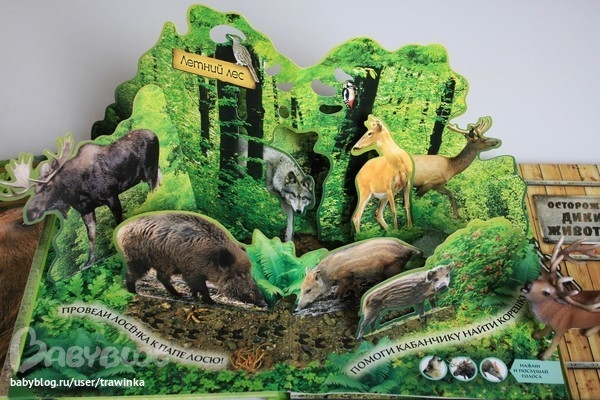 Очень красивые книги-панорамки.