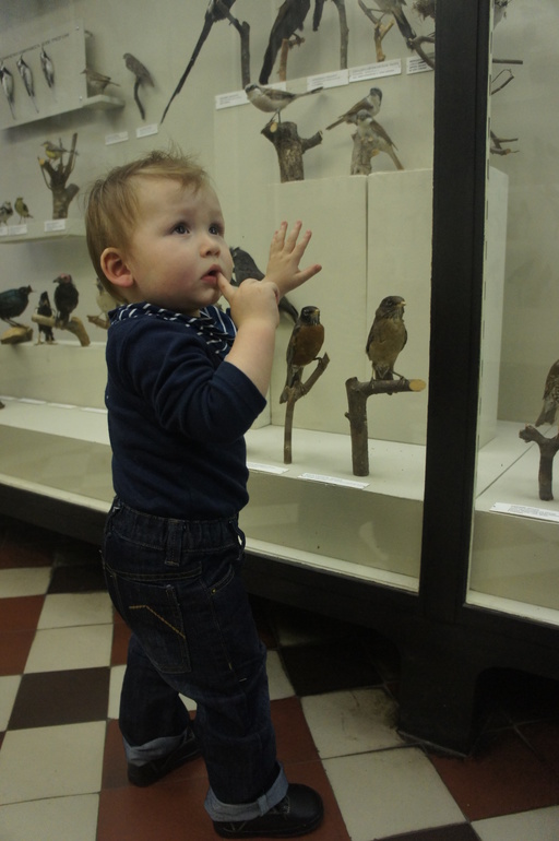 Зоологический музей МГУ или поход в музей годовалого Льва