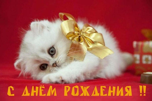 Силовой бампер на Ниву Шевроле Свадебные платья для молодой невесты до 20-30 лет и зрелой после 40 лет