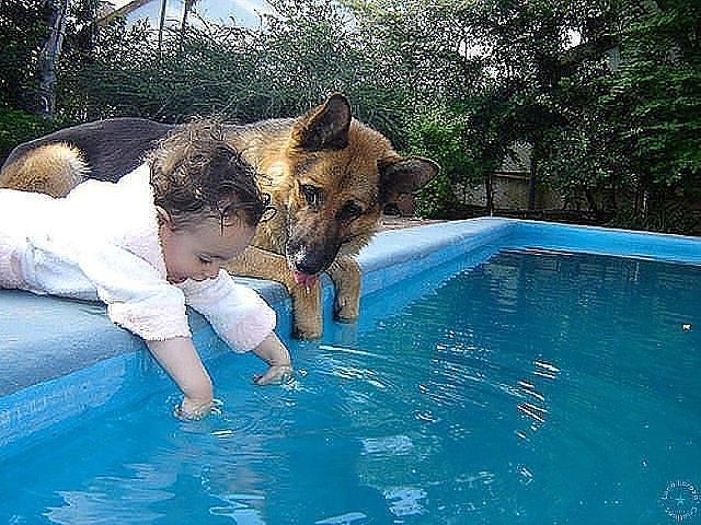 Цветы жизни.