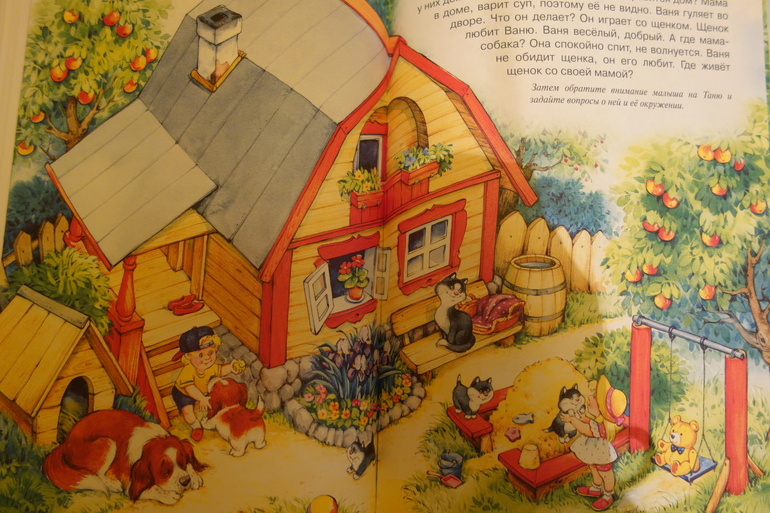 Отчёт о ТН "Домашние животные" (2 день)