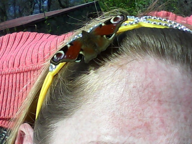 позагорали)))