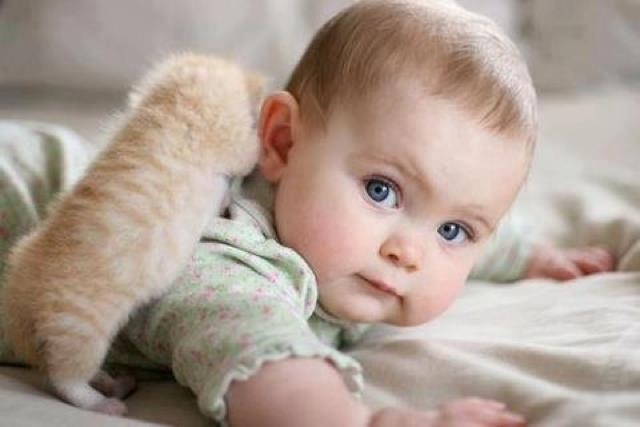 Приглашение для родителей от фотопроекта 365dayz.ru (все бесплатно)