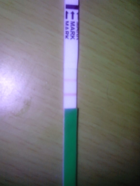 тесты на овульку