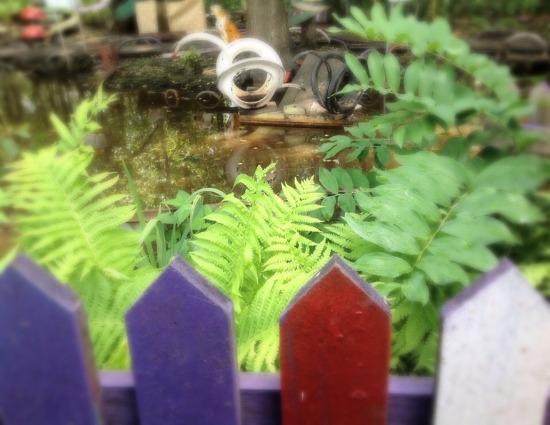 Наш любимый летний домик)