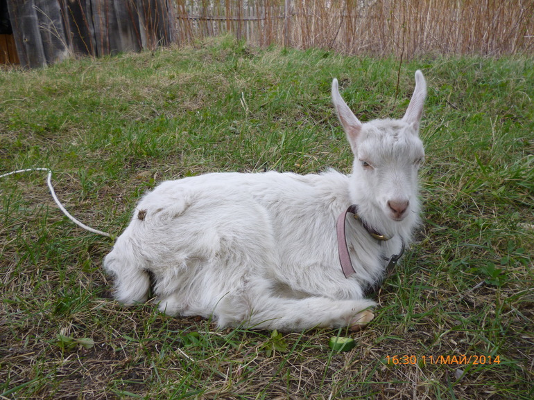 74/6 Хот-споты