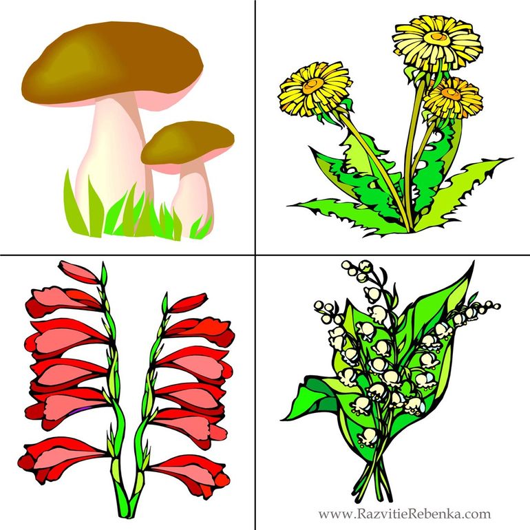 Игра " Что лишнее"