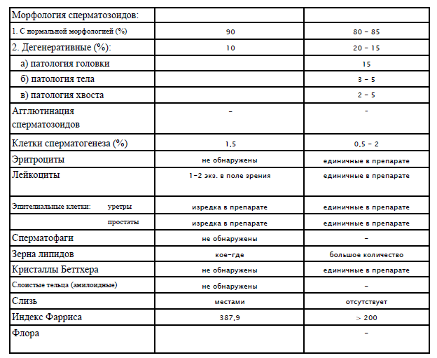 Спермограмма - ничего не пойму...