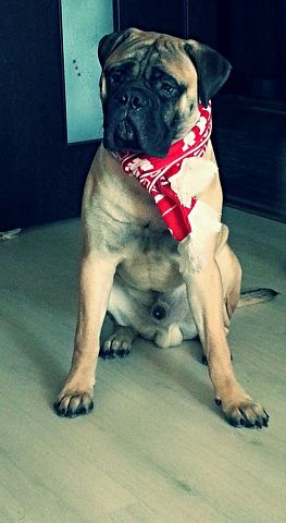 ГРЕЙ 9 месяцев!