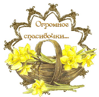 17 ДПО или 3 день задержки