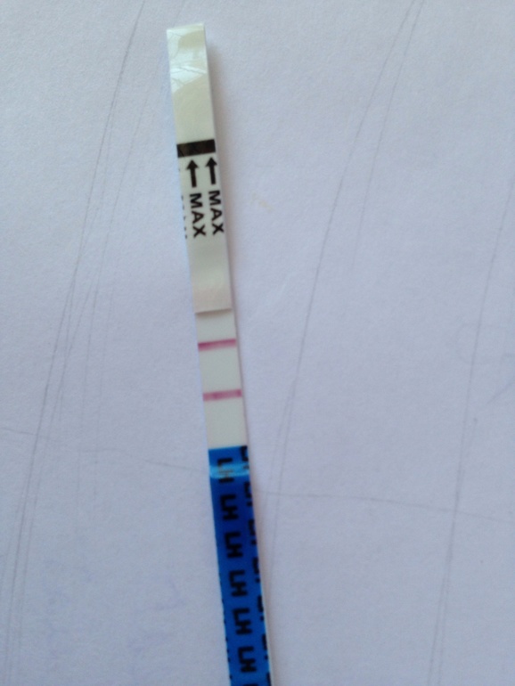 Опять я))) неужели она родимая???