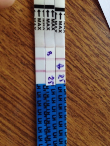 БТ и овуля...