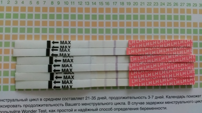 Как определить беременность с момента зачатия Как определить беременность с момента зачатия