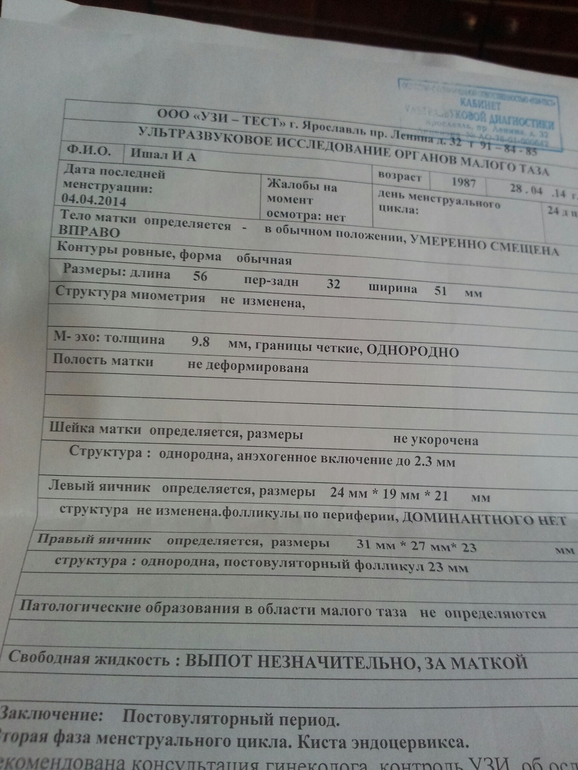 Девочки, подскажите по результатам УЗИ!