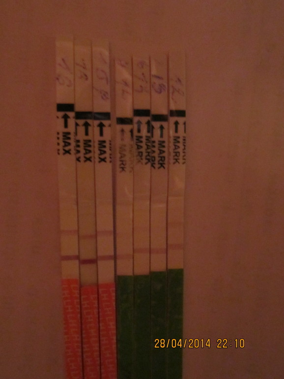 Кто разбирается в тестах на овуляцию