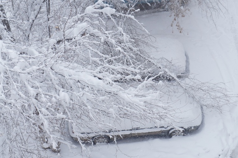 Зима недаром злится.......уж май в окно стучится