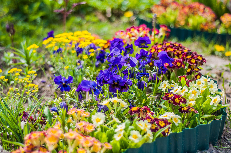 вот такая у нас весна-красна