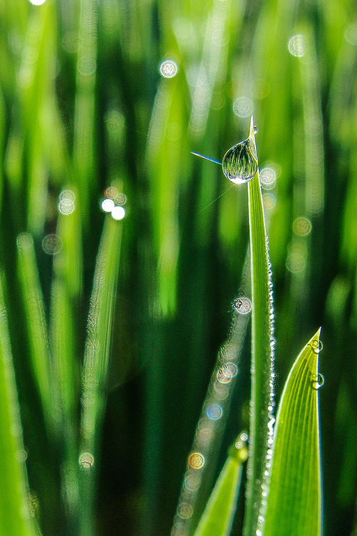 вот такая у нас весна-красна