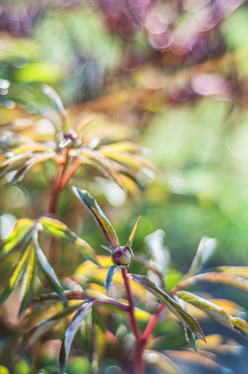 вот такая у нас весна-красна