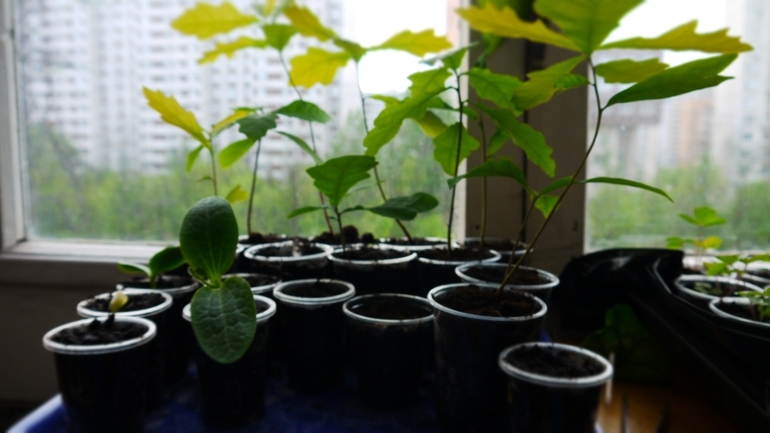 А на моем балконе такое вот...