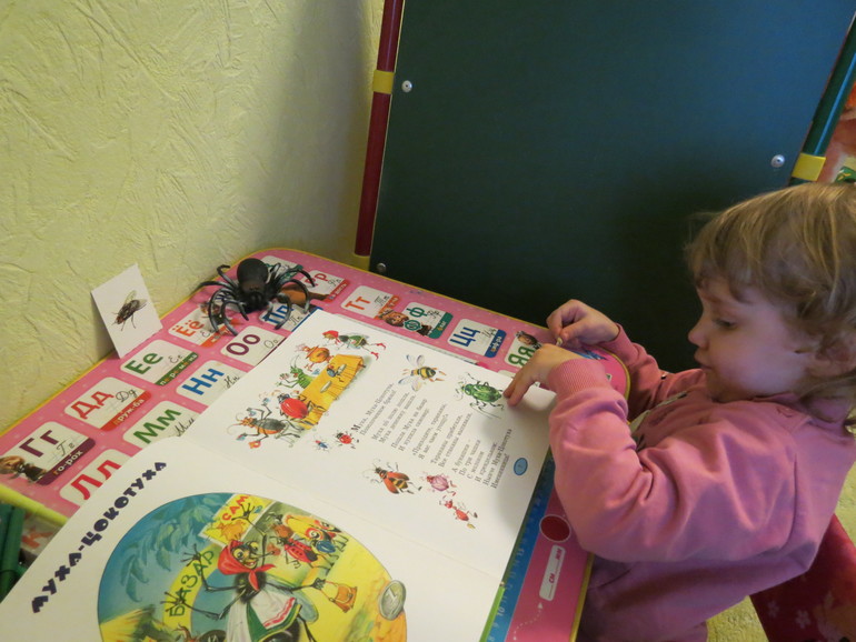 ТН насекомые Паук и Муха