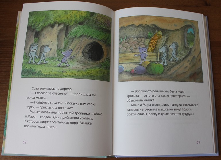 Дневник читателя май (2 года)