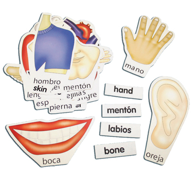 Неделя _ части тела