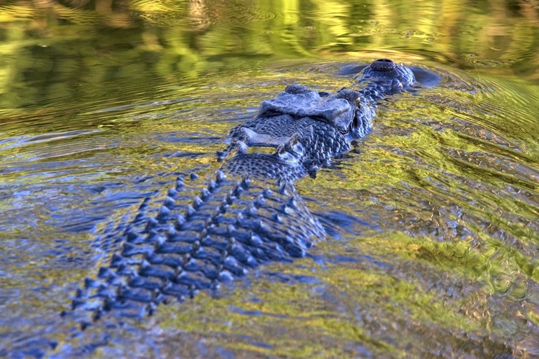 Приветствую всех!