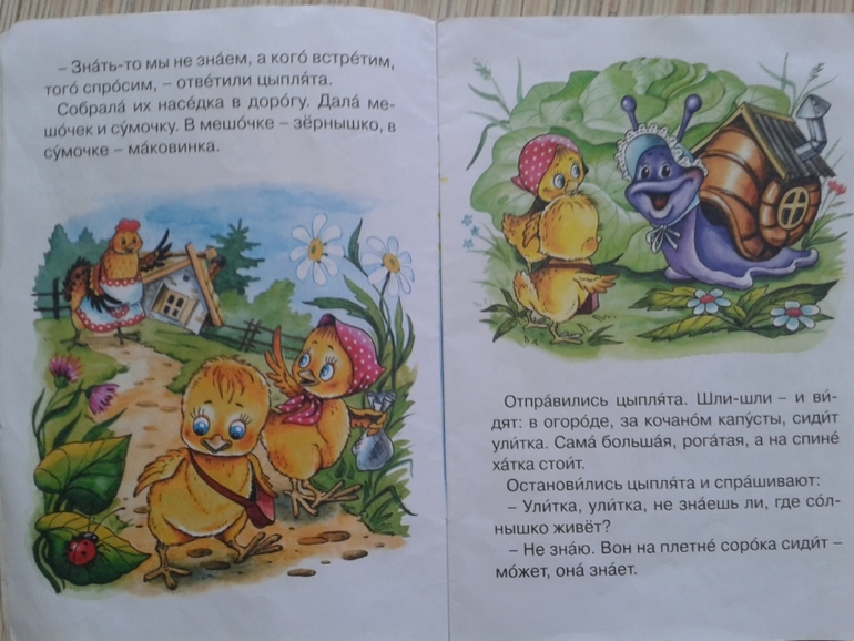 Разыскиваются цылята.