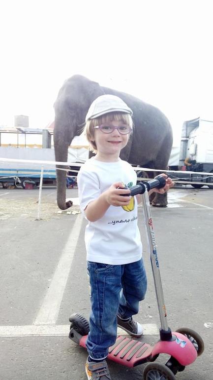 А в нашу деревню ..... И по ходу вопросик про воспитание :)