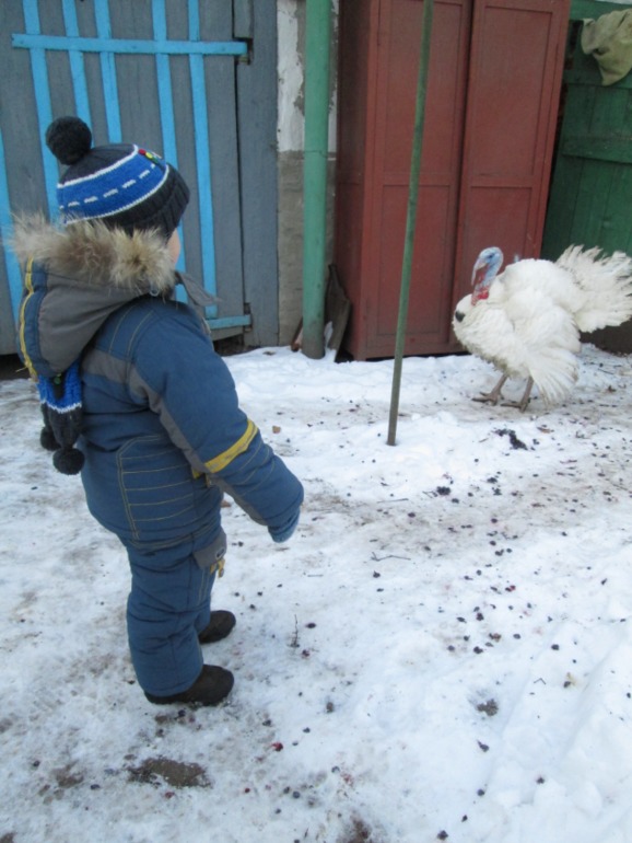 Обо всем (фотопост)