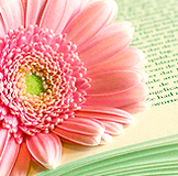 Информация