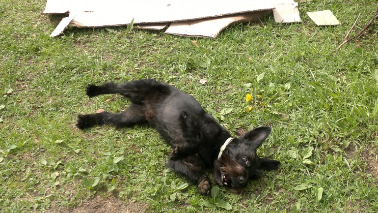 Наслаждаются весной