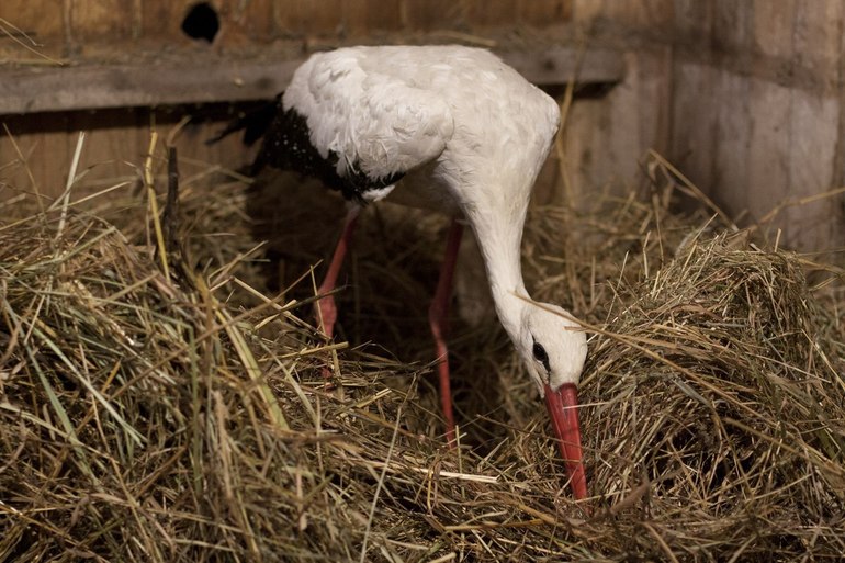 как ОНИ делают ЭТО