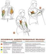 Проработка рук