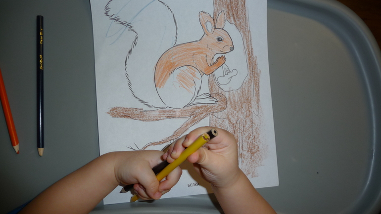 ТН "Лесные друзья" - День 5 - Белка