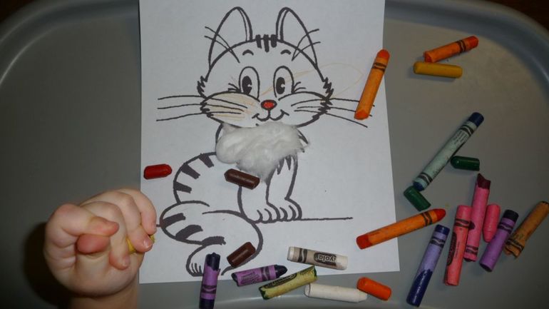 ТН Домашние любимцы - День 2 - Котята