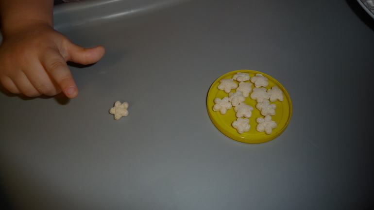 ТН "Лесные друзья" - День 5 - Белка