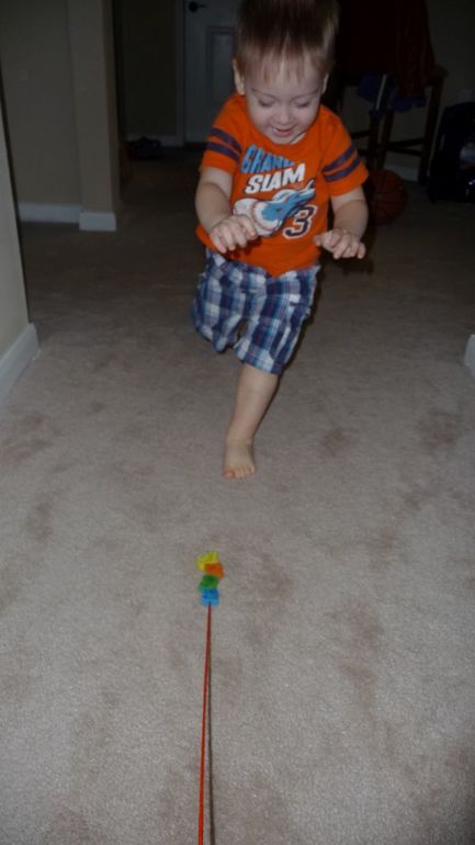 ТН Домашние любимцы - День 2 - Котята