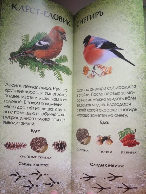 Супер-предложение от Май-шоп