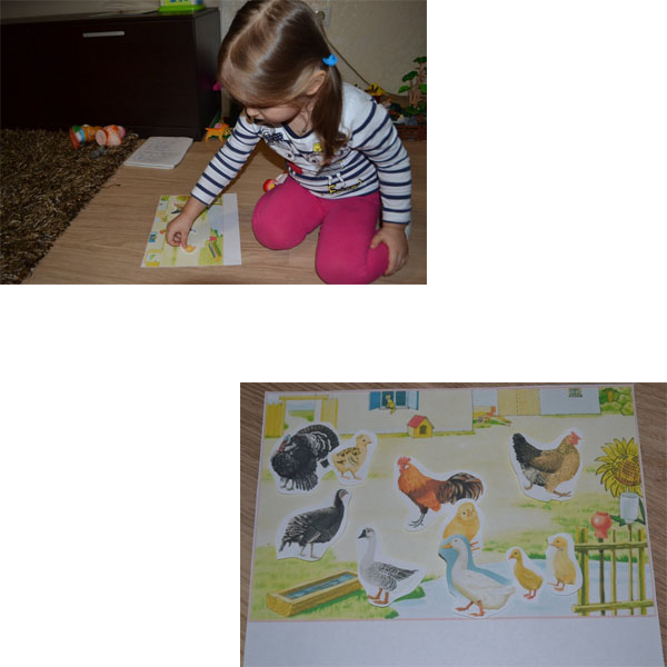 ТН "Птичий двор" День 1