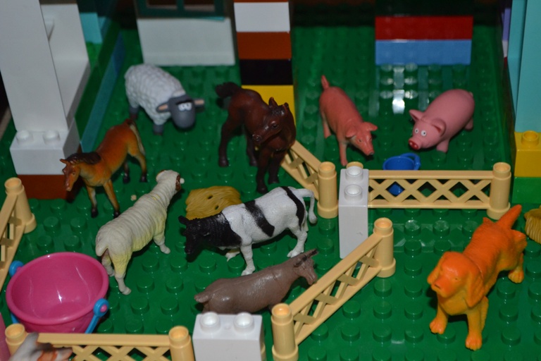 ТН "Птичий двор" День 1