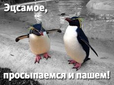 Девочки приветствую))