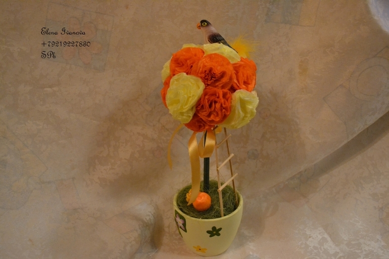 Мой первый топиарчик